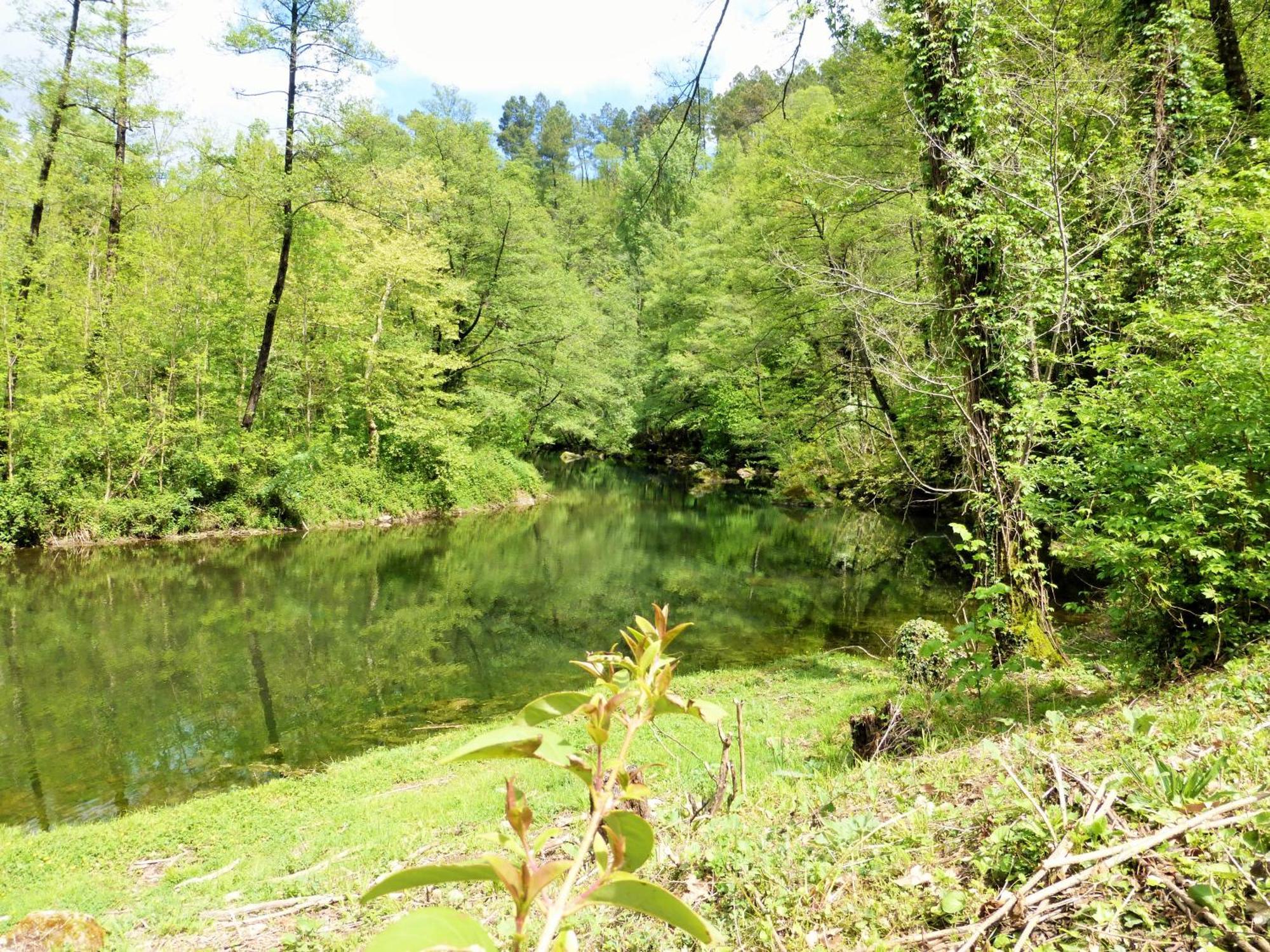 Chateau Du Fraissinet, 6 Gites Sleeping 2-8 Guests, Pool And River On Site La Tronche  Экстерьер фото