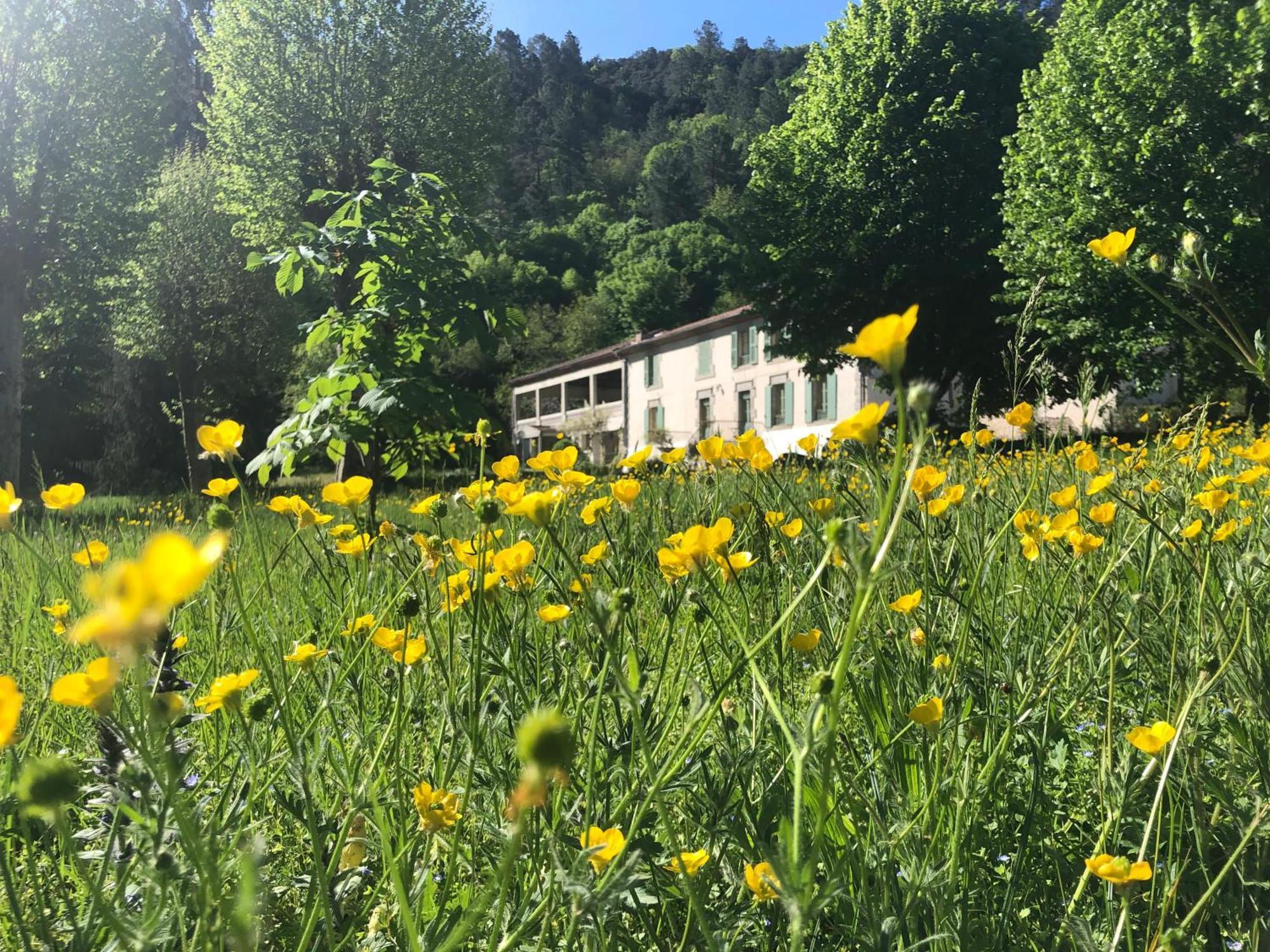 Chateau Du Fraissinet, 6 Gites Sleeping 2-8 Guests, Pool And River On Site La Tronche  Экстерьер фото